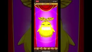 ログレス マジカルキャットを狙う‼️