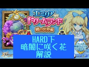 【ドリームランドHARD】暗闇に咲く花【ログレス】