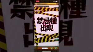 【ログレス】オシャレ戦争！聖将メイデ　ソロ