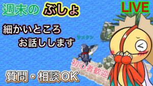 週末のぶしょ　トレジャーフィッシングの細かいところお話しします【ログレス】