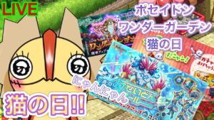 猫の日　今日は神引きが多いって？【ログレス】