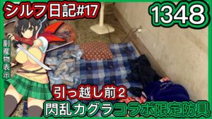 【ログレス】シルフ日記#17『引っ越し前のこと-2-❗️閃乱カグラコラボ限定防具、1348石の結果❓』【副産物表示】230328
