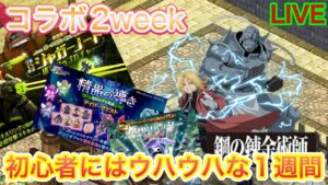 新規には嬉しい週間！！鋼の錬金術師2week【ログレス】