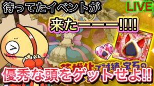 周回性能◎この頭優秀です！！【ログレス】