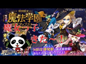 【ログレス】初エミリア武器だ～！引くぞ～！